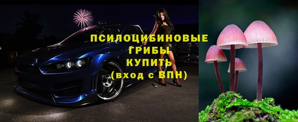 прущие грибы Арсеньев
