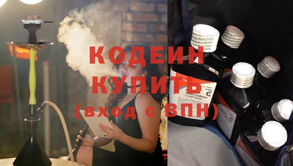 гашик Няндома