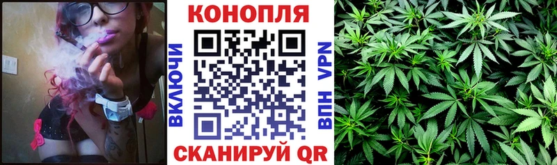 Шишки марихуана THC 21%  мега   Верхняя Тура  где можно купить наркотик 